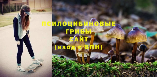 гашиш Абаза